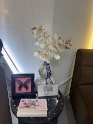 -小梨专业脱毛连锁机构