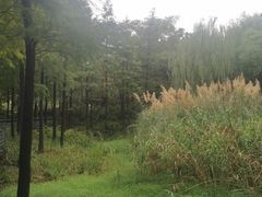 -尚贤河湿地