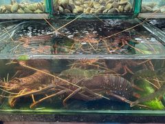 -班赞海鲜市场