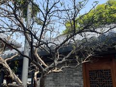 -住家喜宴
