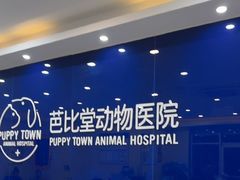 -芭比堂动物医院·24小时·眼科中心(深圳中心)