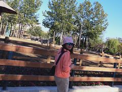 -大连森林动物园