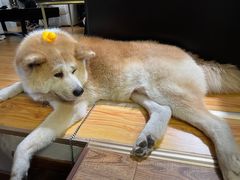 -YCHL Studios健身工作室(市二宫店)