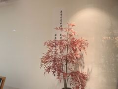 -小茶闲舍·观景商务茶馆(广州塔店)