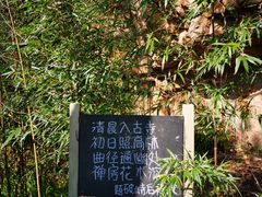-云峰山自然风景区