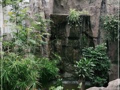 -滕头生态酒店(奉化店)