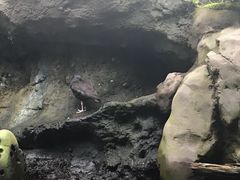 -西雅图水族馆