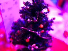 -清迈艾美酒店自助餐厅