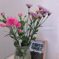 -煜婷产后恢复中心(印象生活广场店)