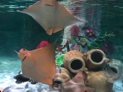 -沈阳海洋探索中心