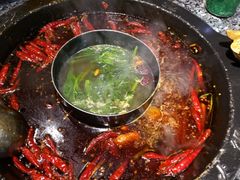 -蜀大侠火锅(建设路第五大道店)