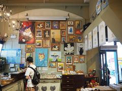 -猫咪博物馆(顶澳仔猫街店)