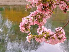 -元大都城垣遗址公园