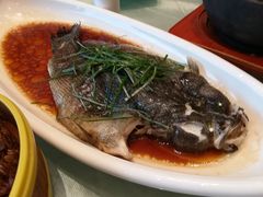 -高老庄新家宴(北斗星广场店)