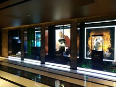 -UME影城(中国巨幕高新店)