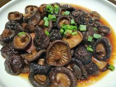 -云起草堂(白云山森林公园店)