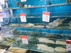 -吕氏疙瘩汤·私家菜馆(慈云寺店)