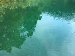 -羚羊峡古栈道森林公园