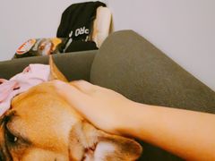 -爱侣宠医·鹦鹉专科·小型哺乳类·异宠专科(灵石路店)