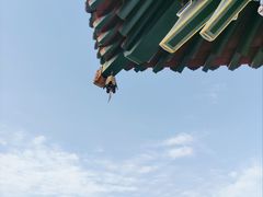 -迎泽公园