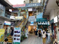 -猫咪博物馆(顶澳仔猫街店)