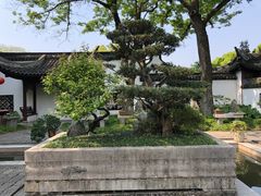 -上海醉白池公园