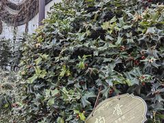 -南京民俗博物馆(甘熙故居)