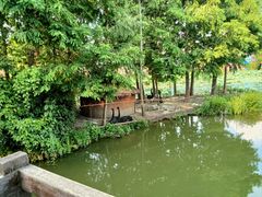 -东台西溪天仙缘景区