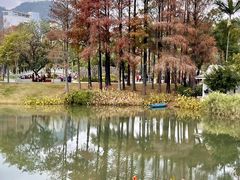 -四海公园(南山区)