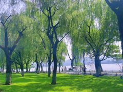 -柳浪闻莺公园
