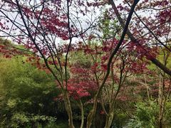 -天河潭旅游度假区