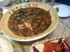 -张鲫鱼家常菜