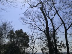 -上海佘山国家森林公园天马山园