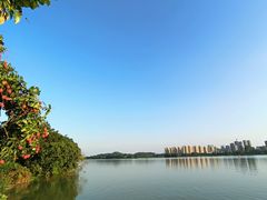 -鹤之洲湿地公园