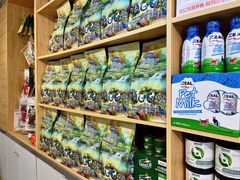 -猫十亿·布偶金渐层·曼基康矮脚猫舍(青年路店)