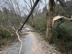 -青龙山国家森林公园