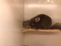 -龙猫仔乐园(惠福东路店)