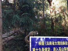 -苍山感通索道