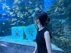 -海合安成都极地海洋公园