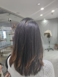 -镁连社·美联社