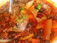 毛血旺-汤城小厨•粤菜•靓汤(苏州街店)