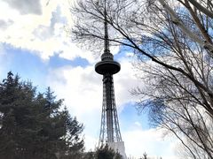 -龙塔