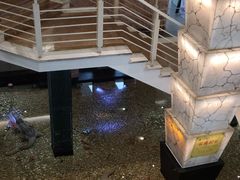 -宝燕海鲜(好爱店)