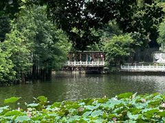 -荔湾湖公园