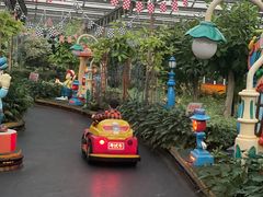 -南宫五洲植物乐园