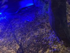-绿茶餐厅(昆明世纪金源店)