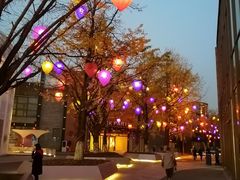 -成都华侨城欢乐里