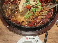 -老板恋上鱼(恒隆广场店)