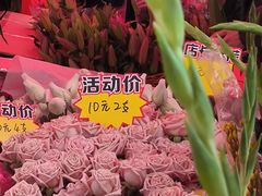 -越秀西湖花市(广州城市广场花卉店)
