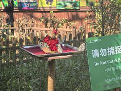 -野象谷景区